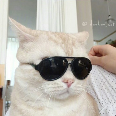 小寨衛生所吳彥祖